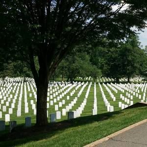 Meet your Posher, Jeffrey